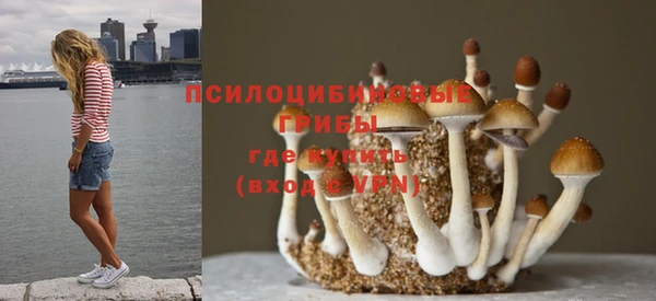 кокаин премиум Карпинск