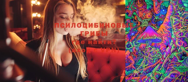 мдпв Карталы