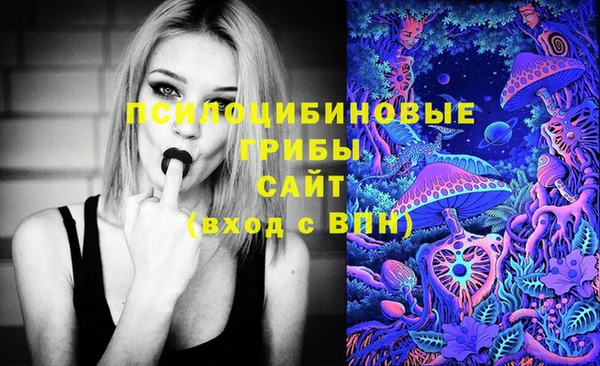 метадон Касимов