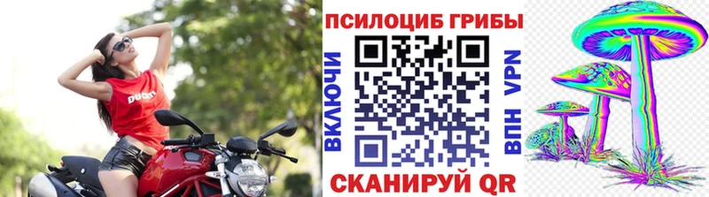 Галлюциногенные грибы ЛСД Купить Знаменск