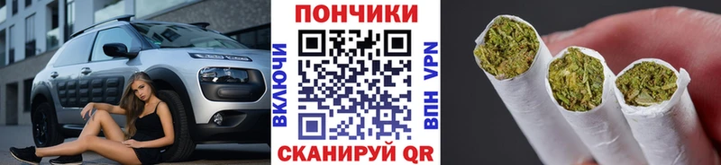 Шишки марихуана марихуана  Купить где  Знаменск 